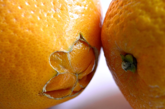 Foto primer plano de la fruta de la naranja