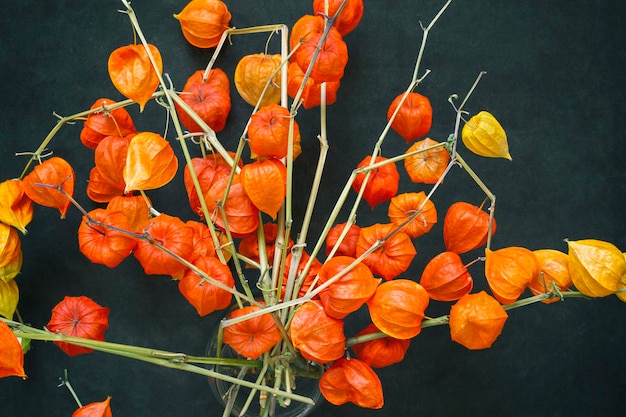 Primer plano de la fruta Physalis sobre un fondo negro