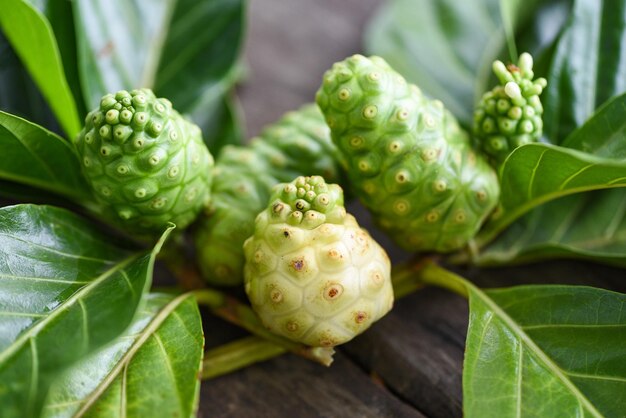 Primer plano de la fruta que crece en la planta