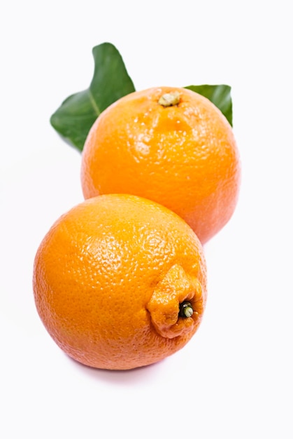 Primer plano de la fruta sobre un fondo blanco