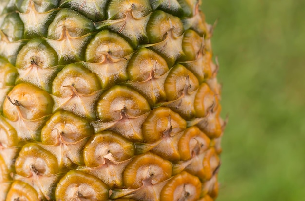 Foto primer plano de la fruta