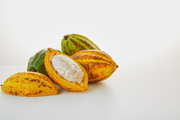 Primer plano de frutas de cacao sobre un fondo blanco