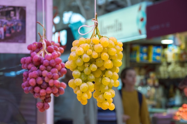 Primer plano de frutas colgando al aire libre