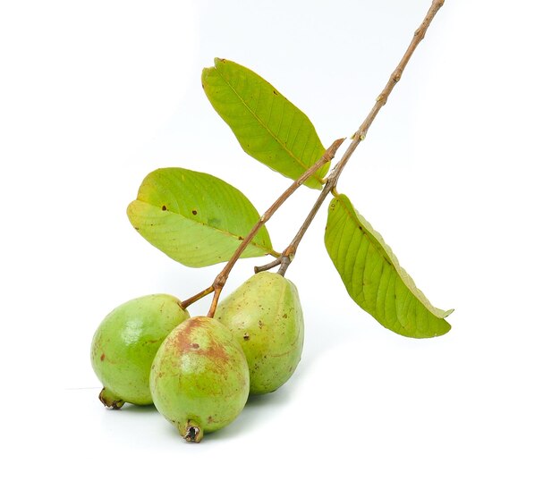 Primer plano de las frutas contra un fondo blanco