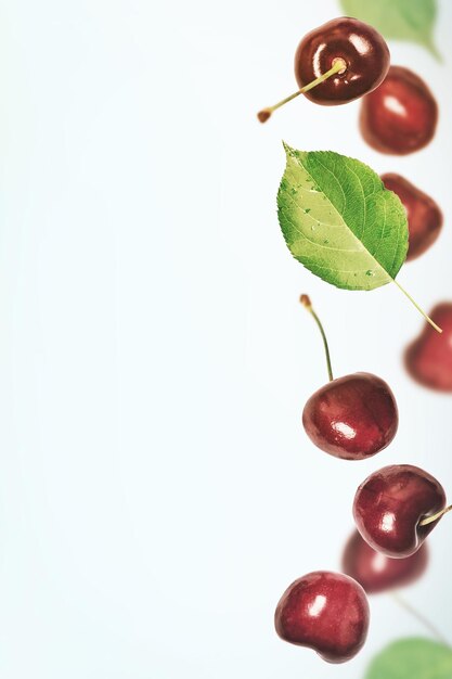 Foto primer plano de las frutas contra un fondo blanco