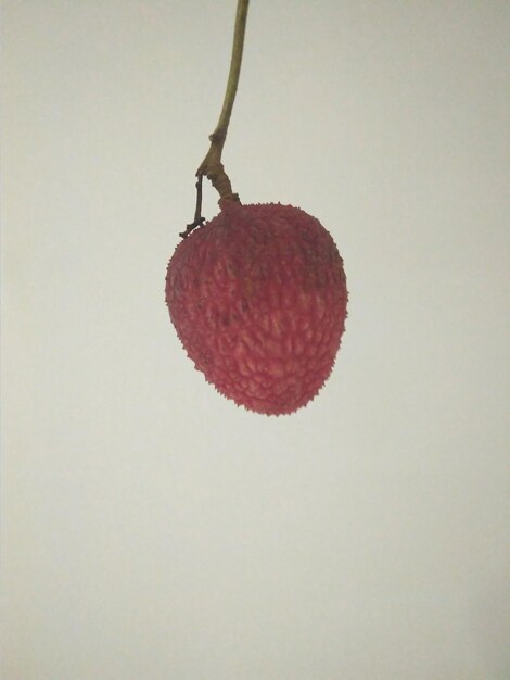 Primer plano de las frutas contra un fondo blanco