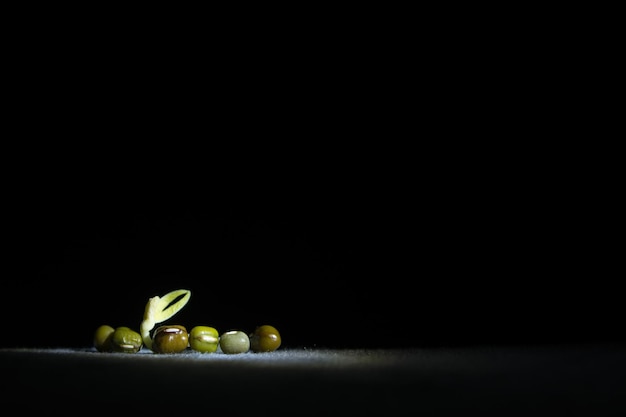 Primer plano de las frutas contra un fondo negro