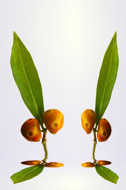 Primer plano de frutas y hojas contra un fondo blanco