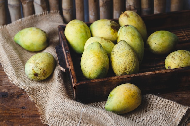 Primer plano de las frutas del mango