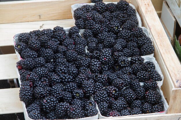 Foto primer plano de las frutas en la mesa