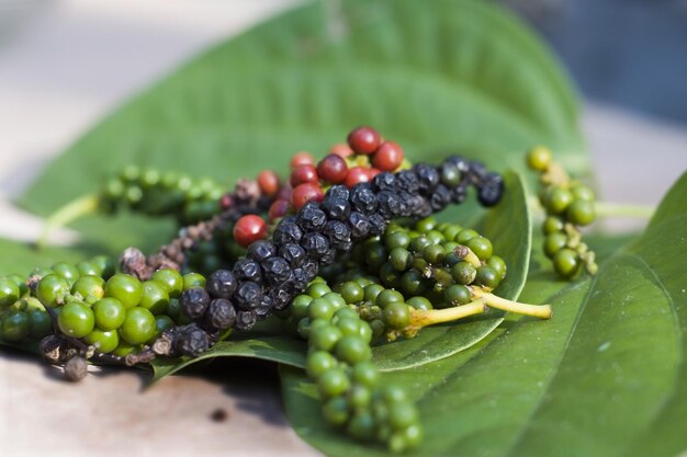 Foto primer plano de las frutas