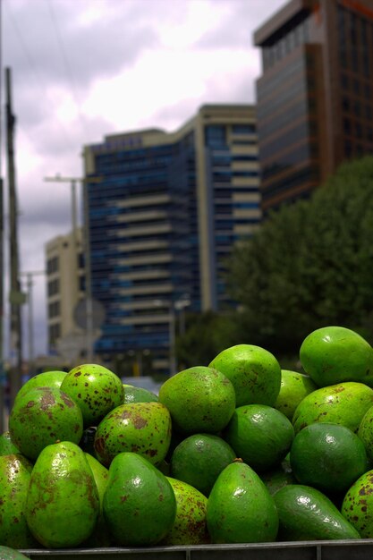 Primer plano de los frutos del aguacate en el puesto del mercado