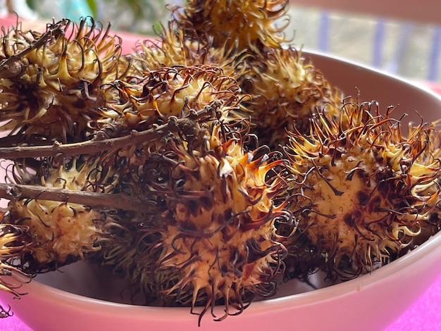 Primer plano de frutos de rambután en un tazón rosa