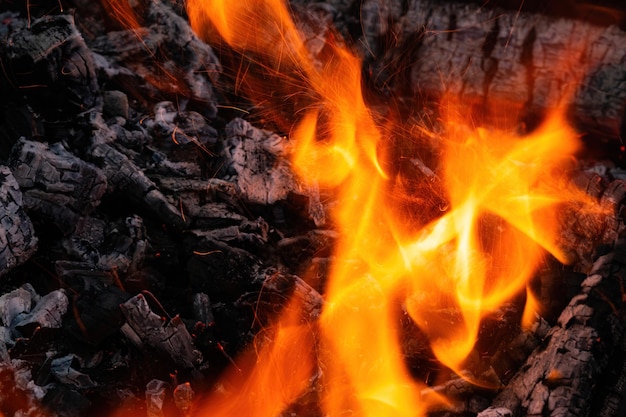 Foto un primer plano de un fuego y llamas