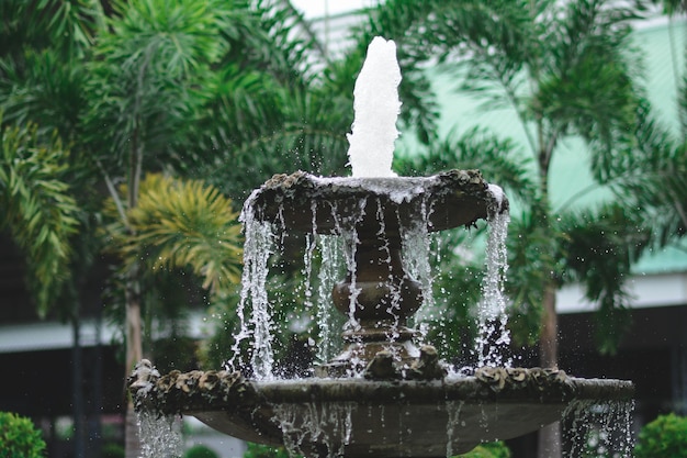 Foto primer plano de la fuente en el parque