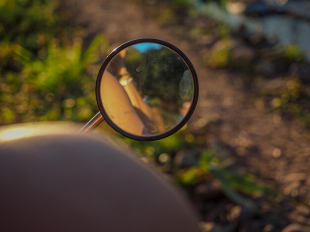 Primer plano de gafas de sol contra los árboles