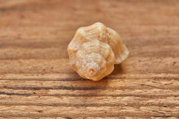 Primer plano de las galletas en la mesa