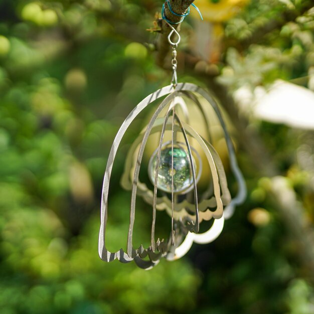 Foto primer plano de una gota de agua colgada en un árbol