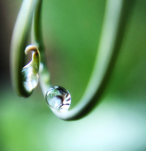 Foto primer plano de una gota de agua en una hoja