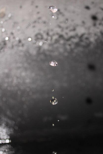 Foto primer plano de las gotas de agua en la hoja