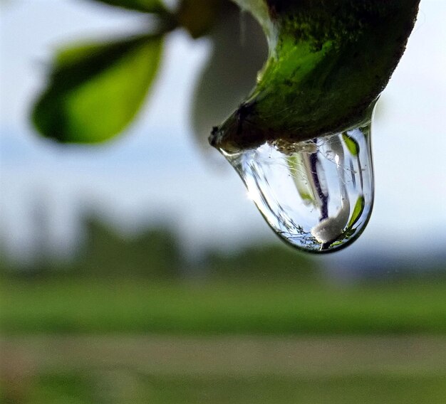 Foto primer plano de las gotas de agua en la hoja