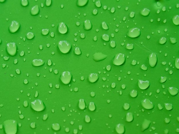 Primer plano de las gotas de agua en la hoja