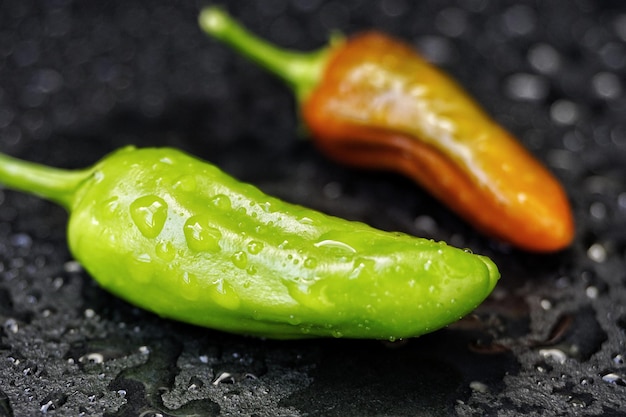 Foto primer plano de las gotas de agua en la hoja