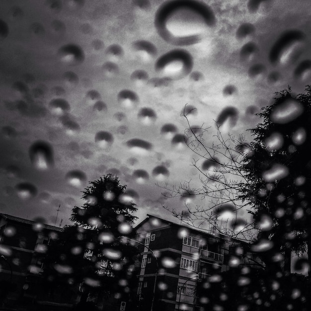 Foto primer plano de las gotas de agua en la hoja