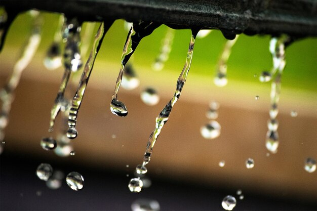 Foto primer plano de gotas de agua en la red de araña