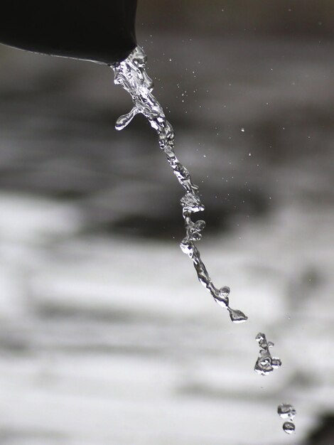 Foto primer plano de gotas de agua en la red de araña