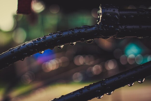 Foto primer plano de gotas de agua en una valla metálica