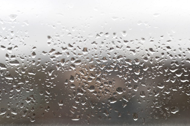 Primer plano, de, gotas de agua, en, ventana