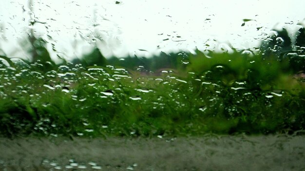 Primer plano de gotas de agua en el vidrio