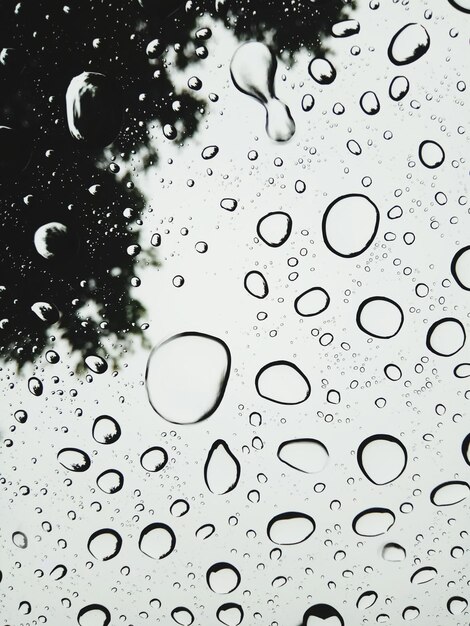 Foto primer plano de las gotas de agua en el vidrio