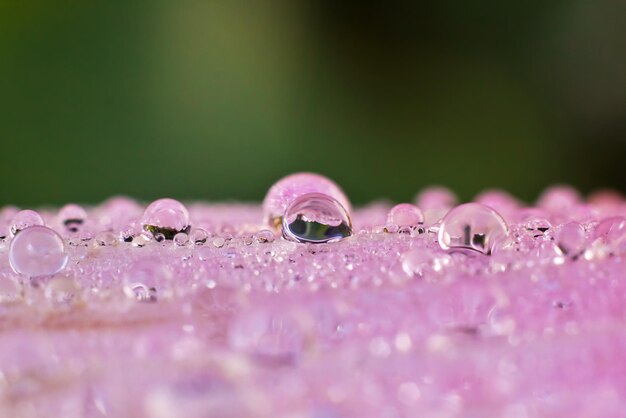 Foto primer plano de las gotas de agua