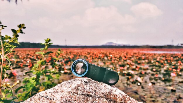 Foto primer plano de la granja en tierra