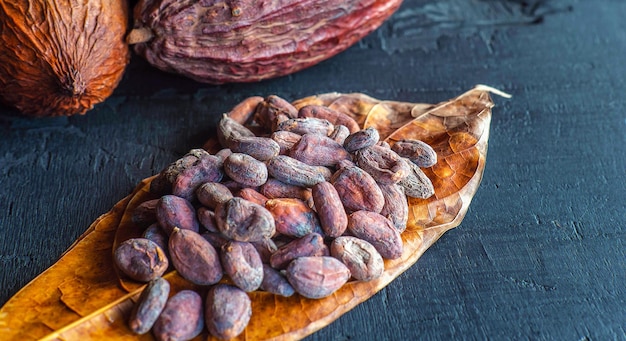 Primer plano de granos de cacao marrones secos en hojas de cacao materia prima para hacer chocolate