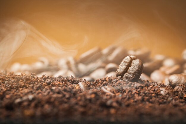 Foto primer plano de los granos de café sobre el café molido