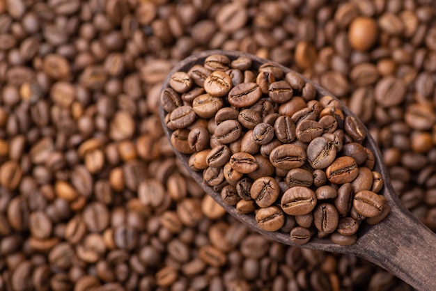 Primer plano de granos de café tostados en una cuchara de madera oscura Comprobación de la calidad del café justo después de tostar