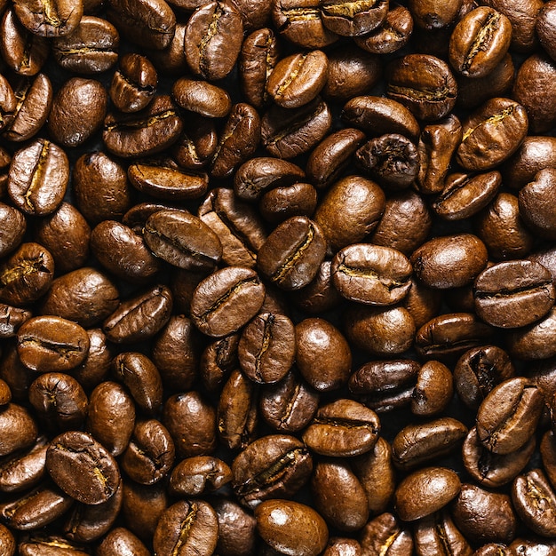 Primer plano de granos de café