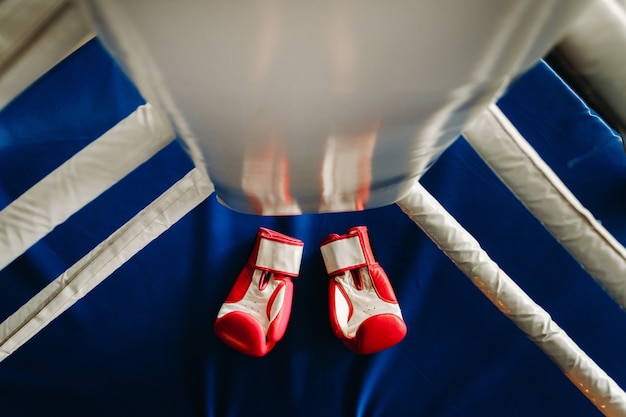 Primer plano de guantes de boxeo rojos en el suelo de un ring de boxeo azul.