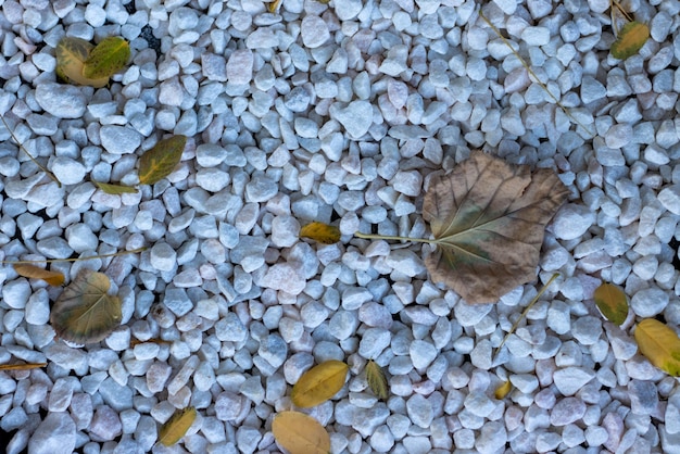 Primer plano de guijarros y piedras