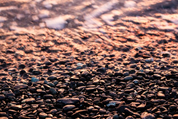 Foto primer plano de guijarros en la playa