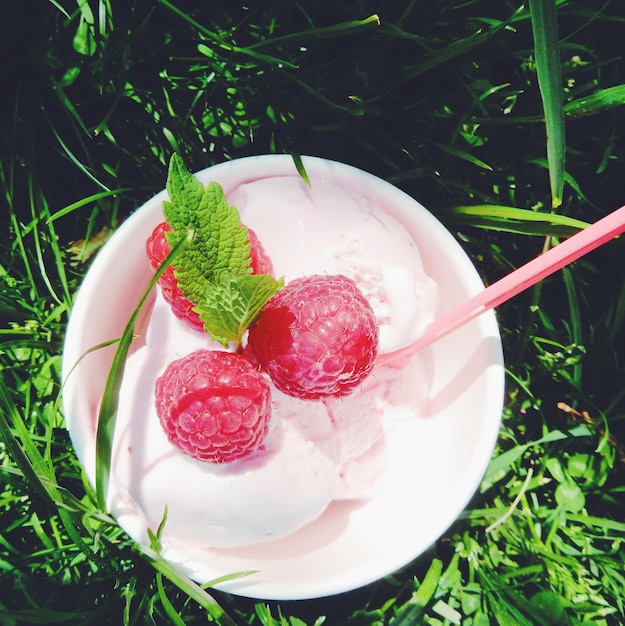 Foto primer plano del helado en la planta