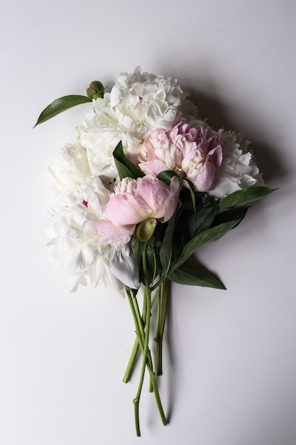 Primer plano de una hermosa flor de peonía rosa y blanca en la mesa de luz