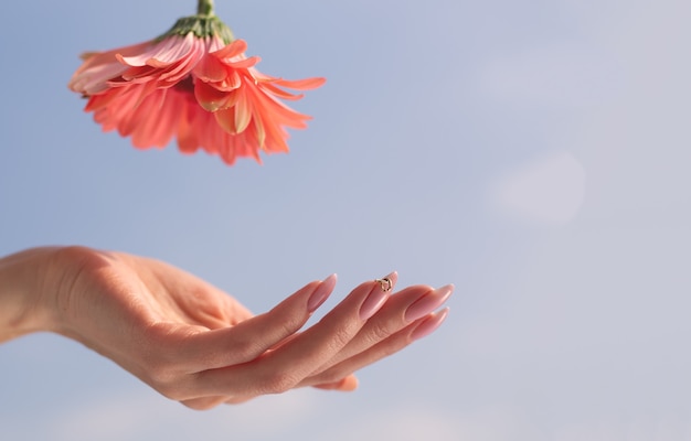 Primer plano de la hermosa mano femenina sofisticada con flor rosa sobre fondo de cielo.