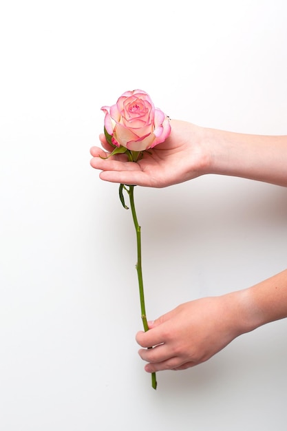 Foto en primer plano hermosas manos femeninas sofisticadas con flores blancas