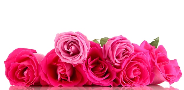 Primer plano de hermosas rosas rosadas aislado en blanco