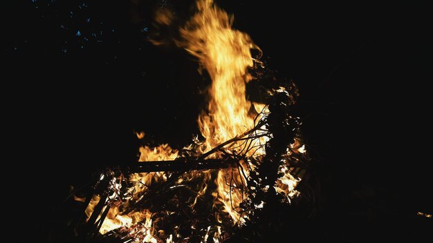 Primer plano de una hoguera por la noche