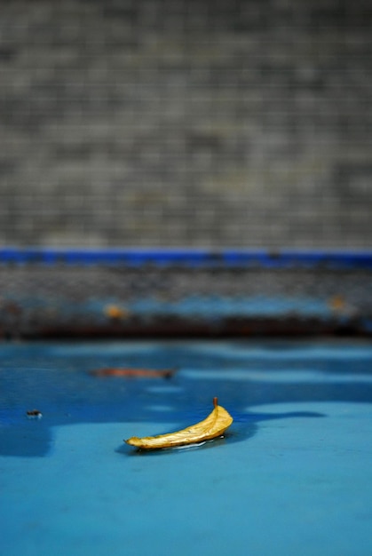 Foto primer plano de una hoja amarilla en la superficie del agua